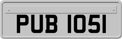PUB1051