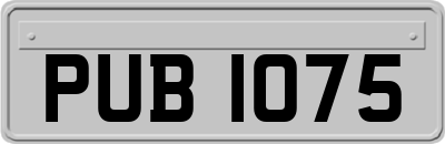 PUB1075