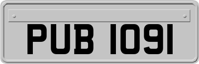 PUB1091