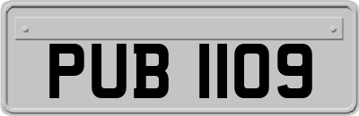 PUB1109