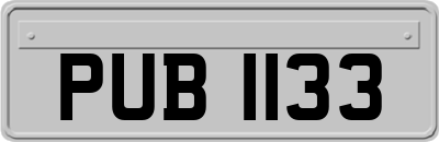 PUB1133