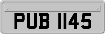 PUB1145
