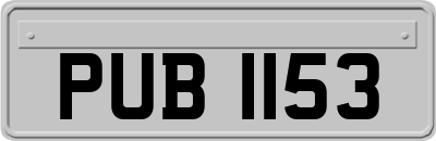 PUB1153