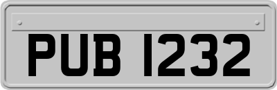 PUB1232
