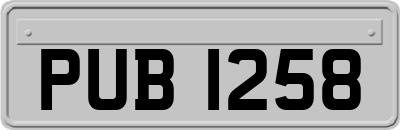 PUB1258