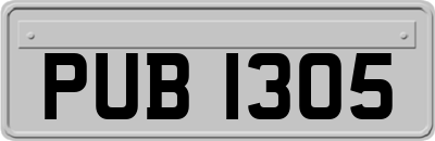 PUB1305