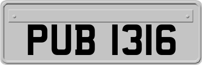 PUB1316