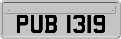 PUB1319