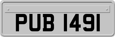 PUB1491