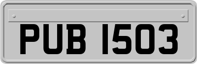 PUB1503