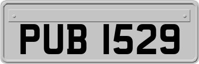 PUB1529