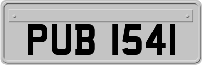 PUB1541
