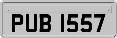 PUB1557