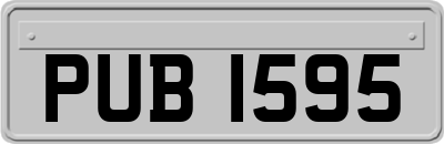 PUB1595