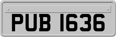 PUB1636