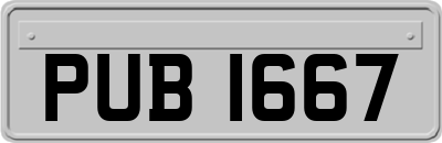 PUB1667