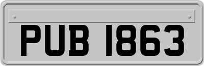 PUB1863