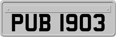 PUB1903