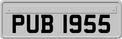 PUB1955