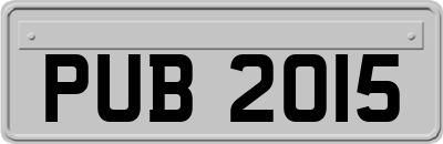 PUB2015
