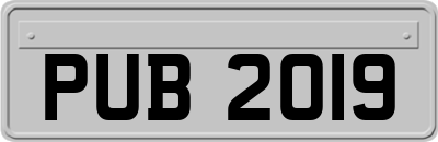 PUB2019