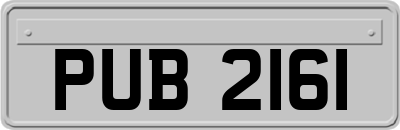 PUB2161