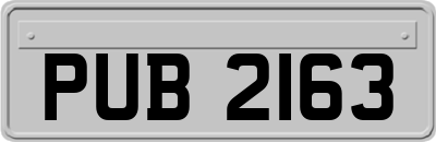 PUB2163