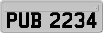 PUB2234