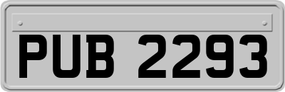 PUB2293
