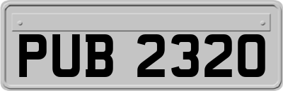 PUB2320