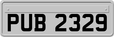 PUB2329