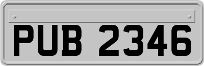 PUB2346