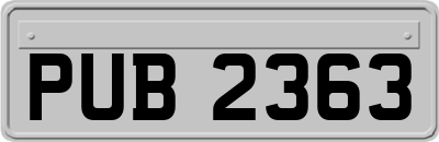 PUB2363