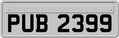 PUB2399
