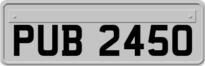 PUB2450