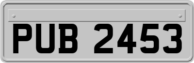PUB2453