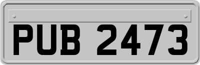 PUB2473