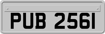 PUB2561