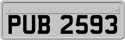 PUB2593