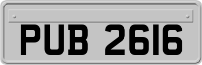 PUB2616