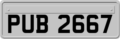 PUB2667