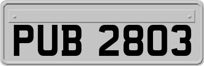 PUB2803