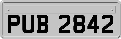 PUB2842