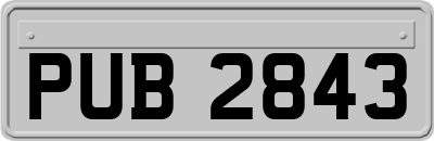 PUB2843