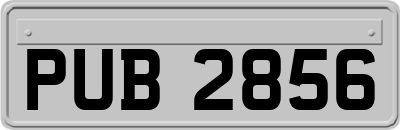 PUB2856