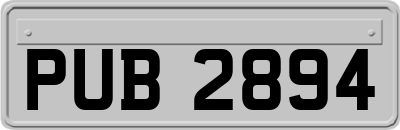 PUB2894