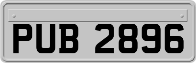 PUB2896
