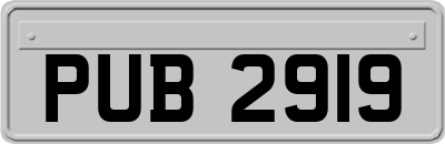 PUB2919