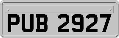 PUB2927