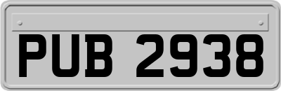 PUB2938